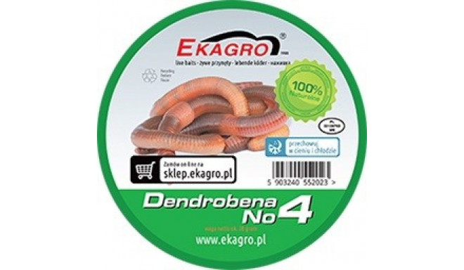 Sliekai Ekagro DENDROBENA nr4