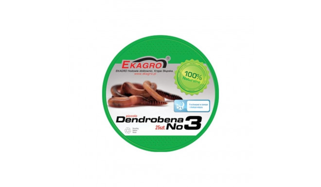 Earthworms Ekagro DENDROBENA nr3