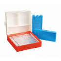 Bait cooler box, Traper