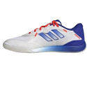 Adidas Fevernova Court IN M IG8766 football shoes (42)