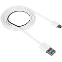 CANYON cable UM-1 MicroUSB 5W 1m White