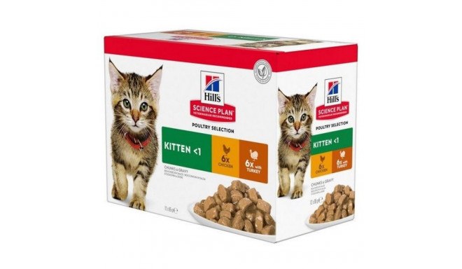 HILL'S Feline Kitten Multipack Poultry - sachet 12x85g