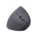 Gembird | MUSW-ERGO-01 | 2.4GHz Wireless Optical Mouse | Optical Mouse | USB | Black