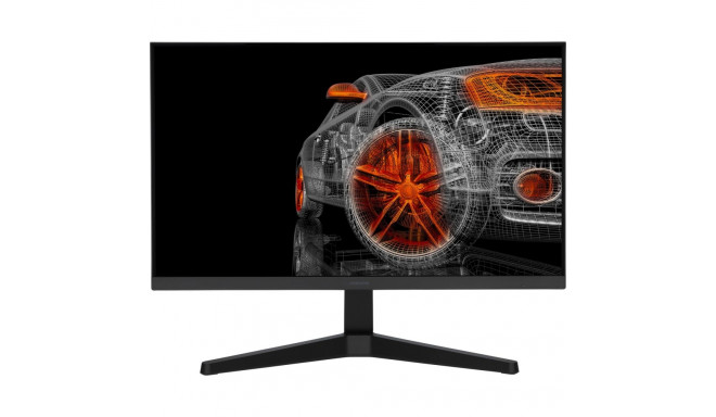 24'' IPS Full HD 75Hz monitor