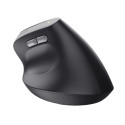 Trust Bayo II mouse Right-hand RF Wireless Optical 2400 DPI