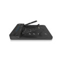 Icy Box IB-2913MCL-C31 Docking Station and Cloning Station for 2 M.2 NVMe SSDs and Hard Drives