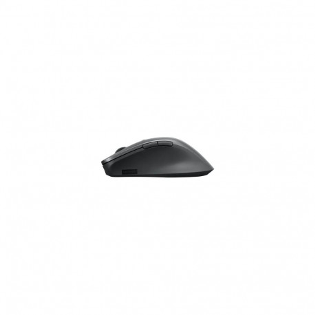 Lenovo professionaalne Bluetooth laetav hiir juhtmevaba Bluetooth hall