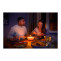 Philips Hue|Hue Go Portable Light|6 W|White and color ambiance|Zigbee