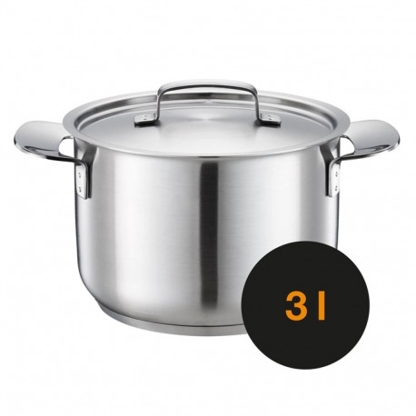 All Steel pot 3.0L