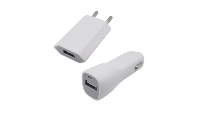 Charger for iPhone combo AC220V +DC12-24V, 1A