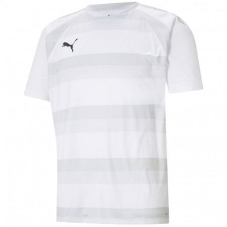 Puma meeste särk teamVISION Jersey 704921 04 M, valge