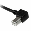 USB A to USB B Cable Startech USBAB1ML             Black