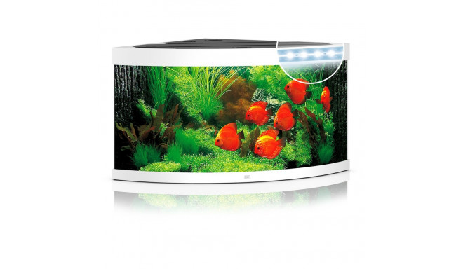 Aquarium Trigon LED 350 L white