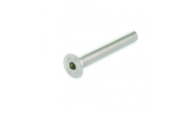 SOCKET SCREW M 6X30 A2-70 DIN7991/ 4PCS
