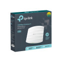 Access Point TP-Link EAP110