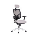 Office chair ANTARES 1750 Syn Skill mesh backrest, BN5 gray seat, lower leg, with headrest