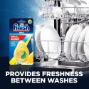 Dishwasher refresher FINISH Citrus