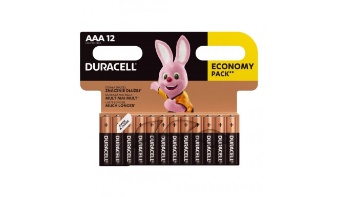 Patareid AAA DURACELL Basic 1,5V 12tk