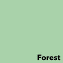 Colored paper A4 160g IMAGE Coloraction no.65 pastel green (Forest) 250 sheets