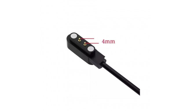 iWear CH2 Унивенсальная USB Кабельная зарядка для Смарт часов 2-pin 4mm магнитная
