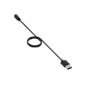 iWear CH2 Унивенсальная USB Кабельная зарядка для Смарт часов 2-pin 4mm магнитная
