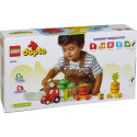 LEGO DUPLO My First 10982 - Hedelmä- ja vihannesviljelijän traktori