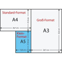 Copy paper A5 80g DATA COPY ColorLok® 500 sheets
