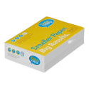Copy paper A5 80g DATA COPY ColorLok® 500 sheets