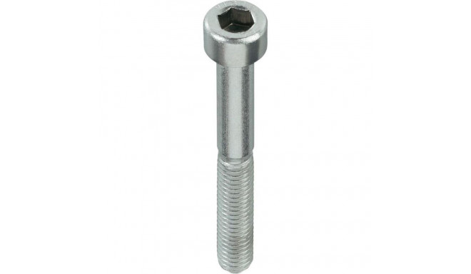 BOLT DIN912 M10X30 ZN (100)