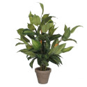 Dekoratiivne Taim Mica Decorations Hosta Roheline PVC (15,5 x 65 cm)