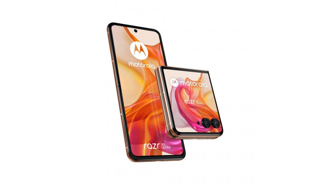 MOTOROLA RAZR 50 ULTRA 12/512GB virsikukarva