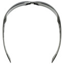 Safety glasses UVEX Pheos, gray