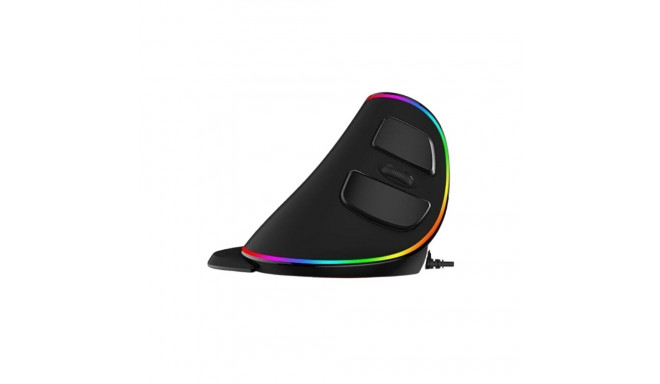 Computer mouse ergonomic Delux XL vertical USB black
