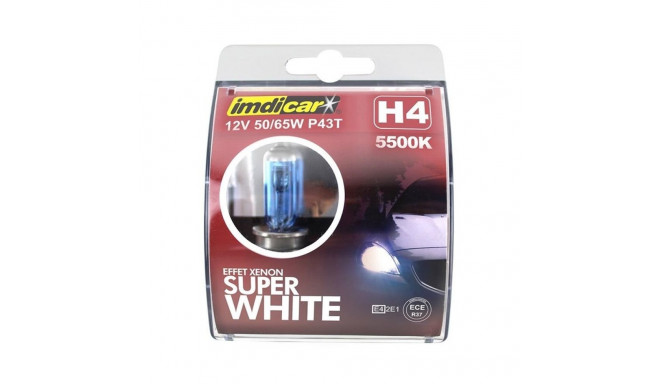 CAR BULB H4 WHITE 2 PCS