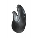 Trust Verro Wireless Ergo Mouse -langaton pystyhiiri