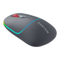 CANYON mouse MW-22 2in1 BT/ Wireless Dark Grey