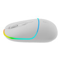 CANYON mouse MW-22 2in1 BT/ Wireless Snow White