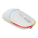 CANYON mouse MW-22 2in1 BT/ Wireless Snow White