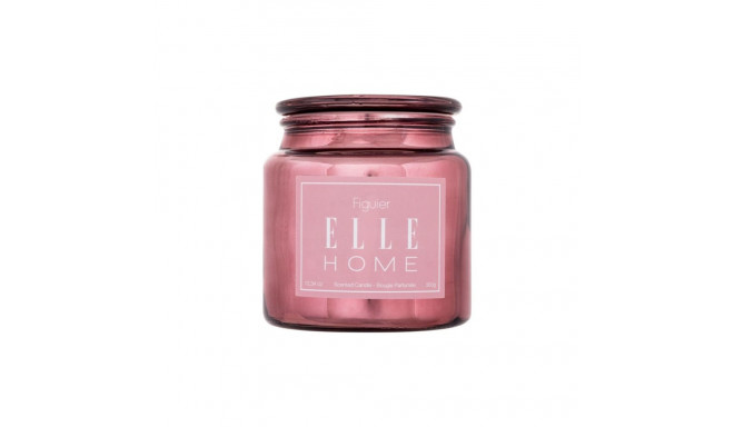 Elle Home Figuier (350ml)