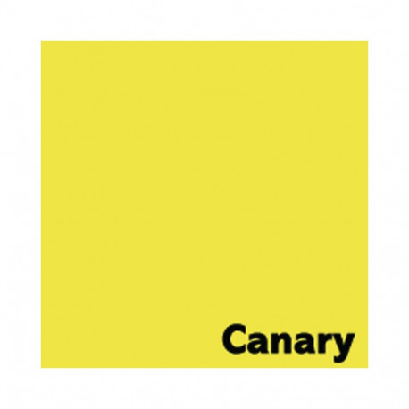 Värvipaber IMAGE COLORACTION, A4, 80 gsm, 500 lehte, CANARY / DEEP YELLOW