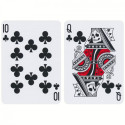 Bicycle Hidden Playing Cards