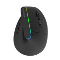 Wireless Vertical Mouse Delux M618DB BT4.0 + 2.4Ghz 4000DPI RGB