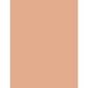 Rimmel London Multi Tasker Wake Me Up Concealer & Foundation (20ml) (040 Ivory)