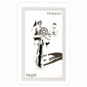 Schiffer Publishing ShadowFox Tarot Cards