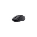 Trust ODY keyboard Mouse included Universal RF Wireless QZERTY English Black