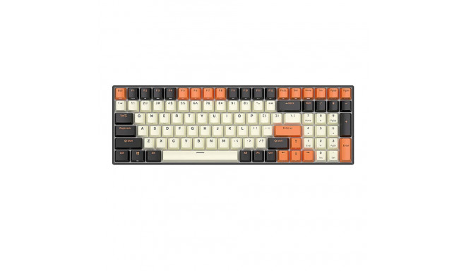 Mechanical keyboard Royal Kludge RK100 RGB, brown switch (black-orange)
