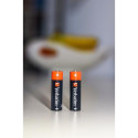 Verbatim AA Alkaline Batteries