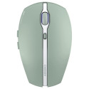 Cherry Gentix BT, mouse (light green)