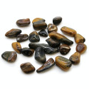 Ancient Wisdom Tiger's Eye - Variegated (24 Pcs. Size S)