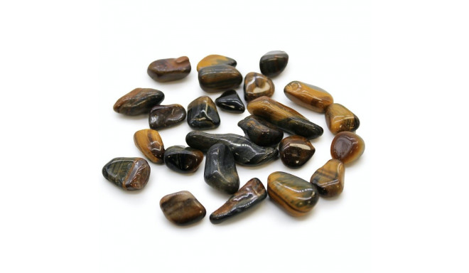 Ancient Wisdom Tiger's Eye - Variegated (24 Pcs. Size S)